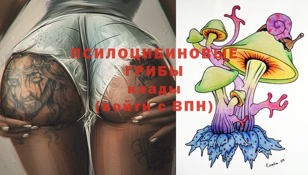 гашик Верхний Тагил