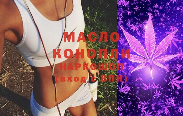 дживик Бородино