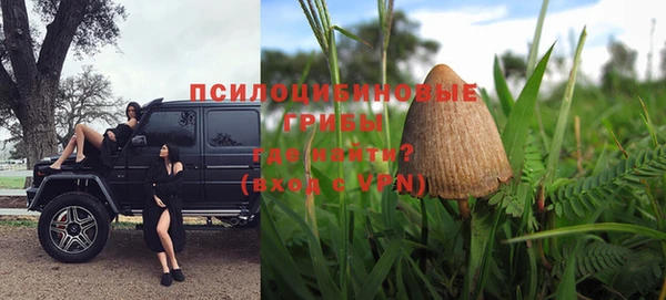 гашик Верхний Тагил