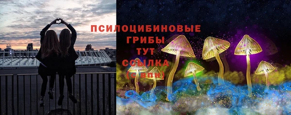 гашик Верхний Тагил