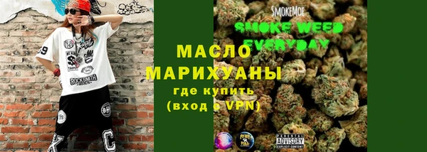 дживик Бородино