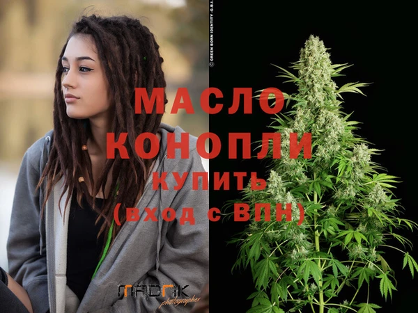 дживик Бородино