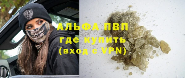PSILOCYBIN Верея