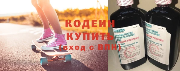 дживик Бородино